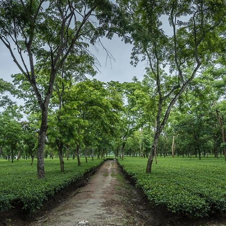 Hotel Tusker Tea County Chālsa Zewnętrze zdjęcie