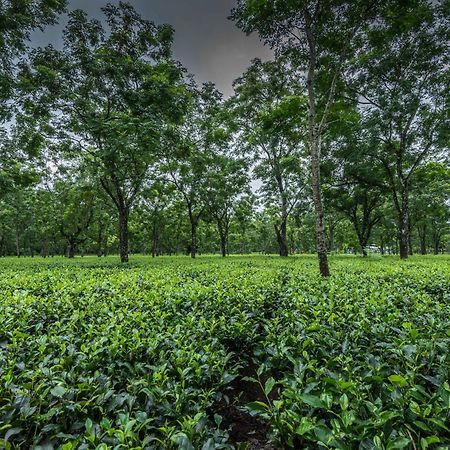 Hotel Tusker Tea County Chālsa Zewnętrze zdjęcie