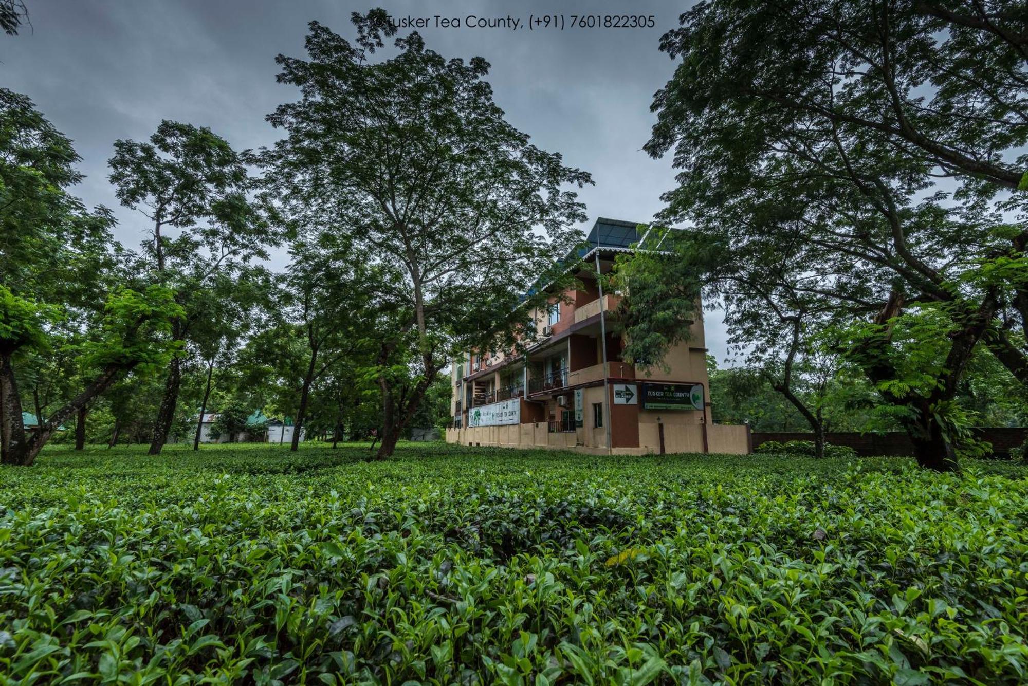 Hotel Tusker Tea County Chālsa Zewnętrze zdjęcie